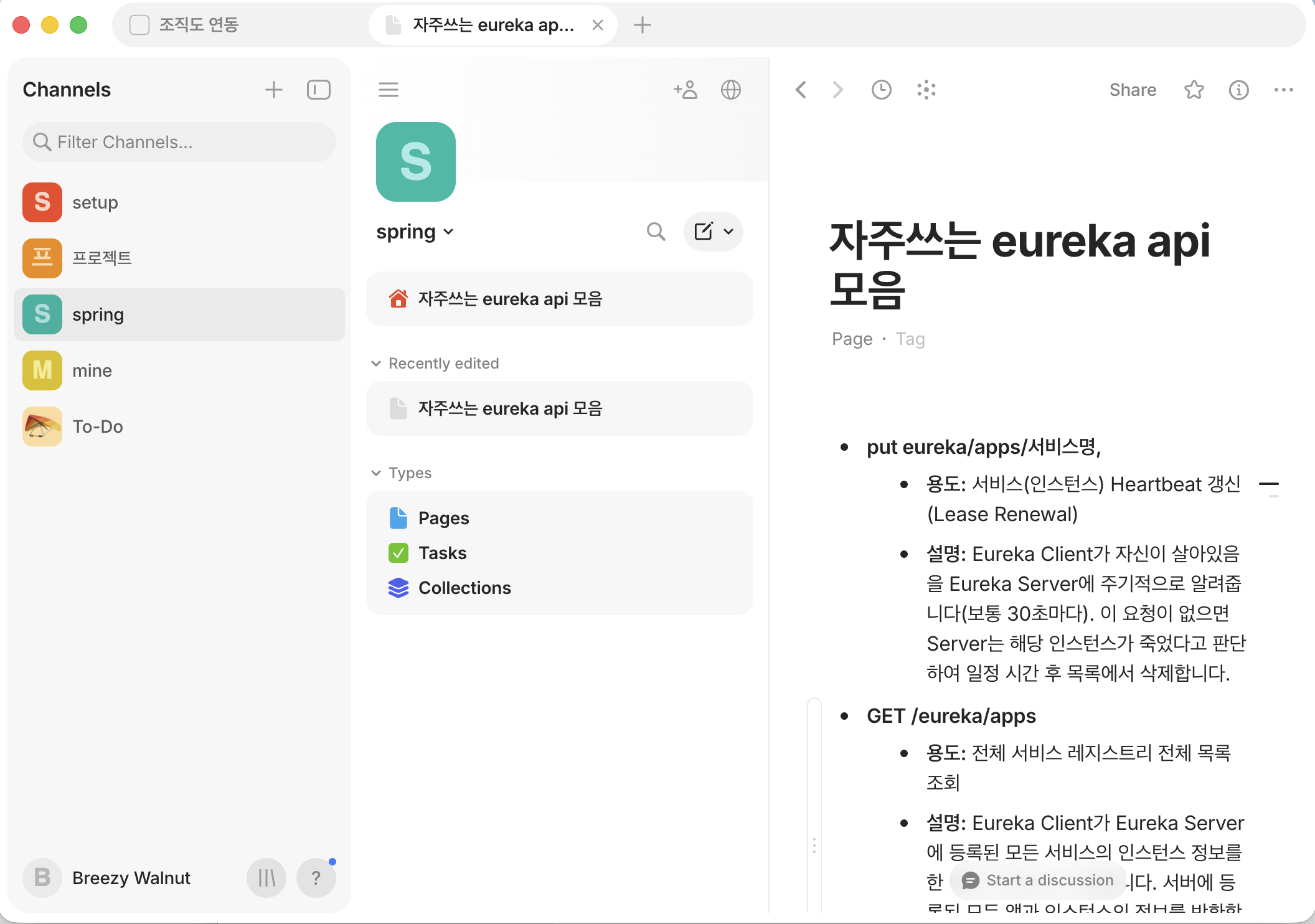 Anytype을 쓰던 화면