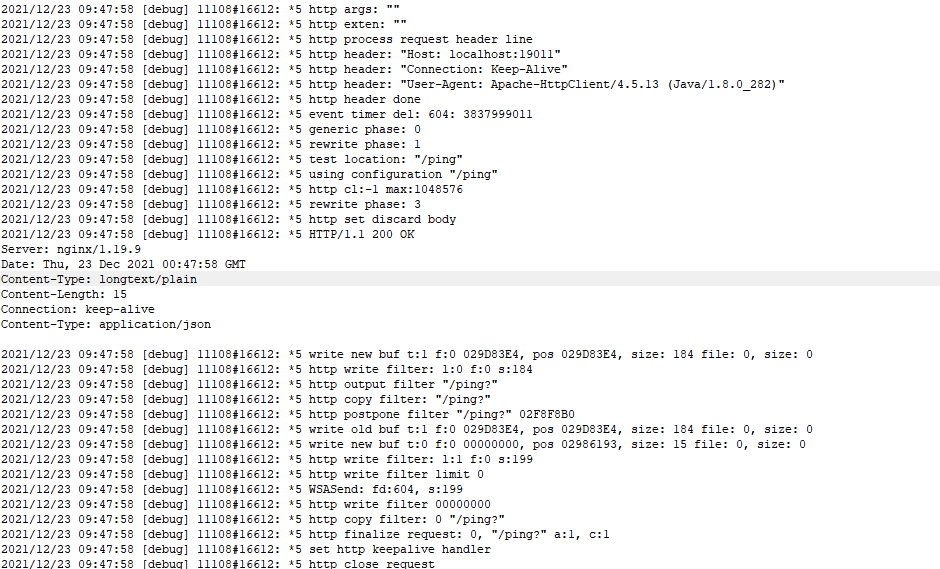 Change nginx log level jj developer
