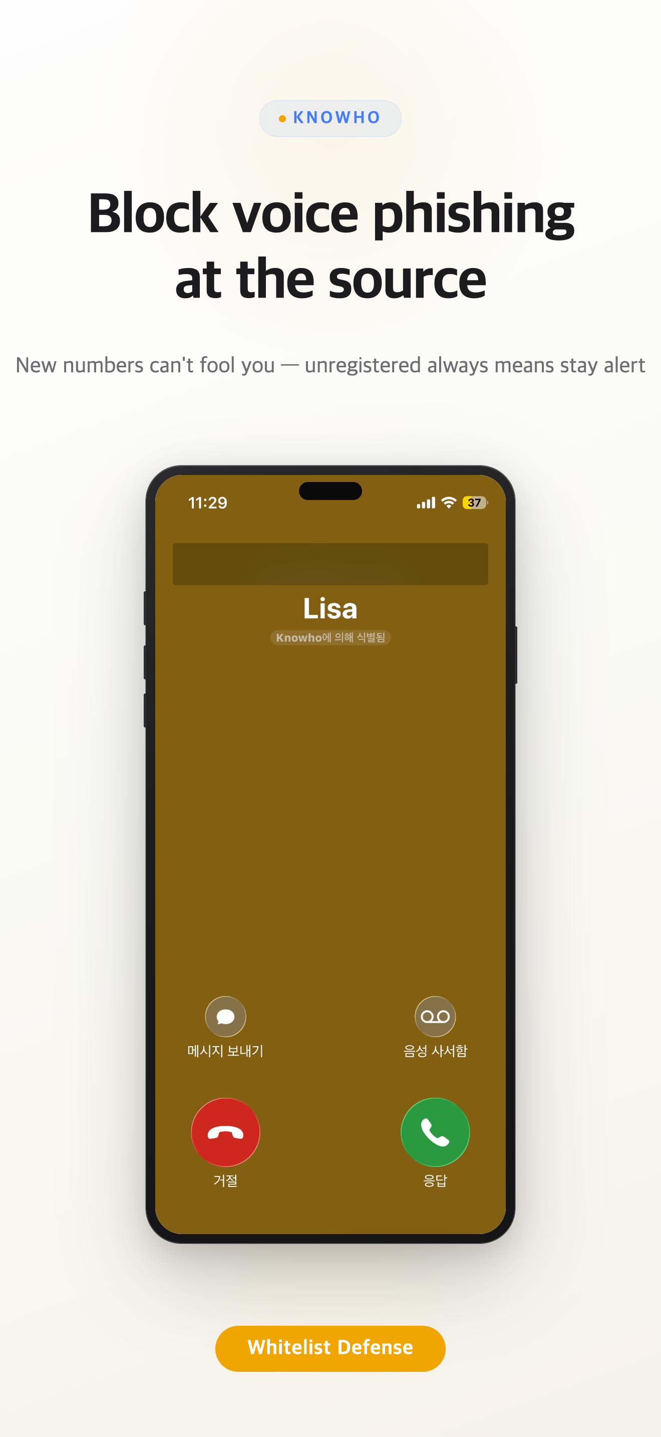 Block voice phishing